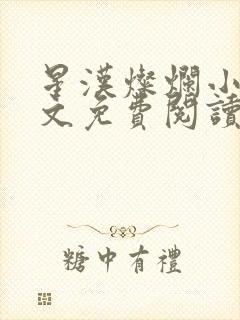 星汉灿烂小说全文免费阅读封面