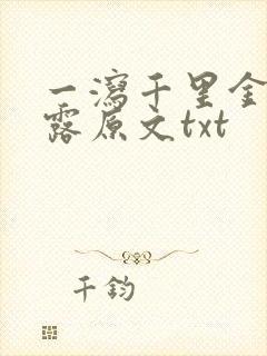 一泻千里金银花露原文txt