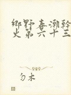 乡野春潮干柴烈火第六十三章