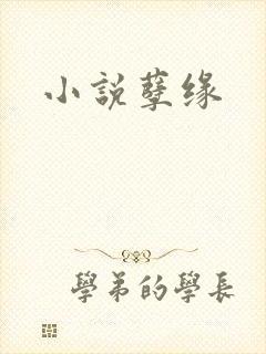 小说孽缘封面