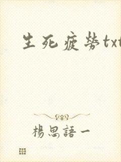 生死疲劳txt封面