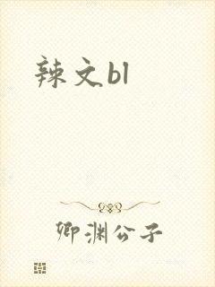 辣文bl封面