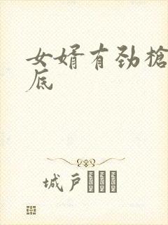女婿有劲枪枪到底