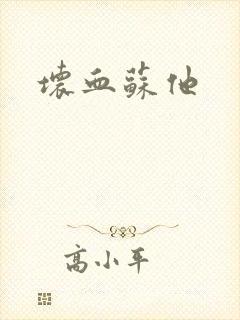 坏血苏他封面