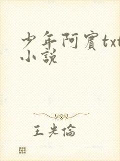 少年阿宾txt小说