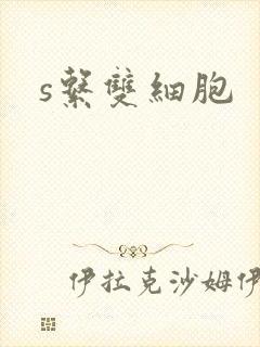 s系双细胞