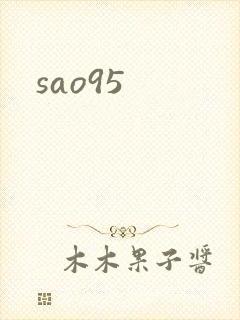 sao95封面