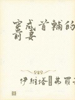 穿成首辅的炮灰前妻