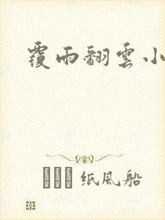 覆雨翻云小说