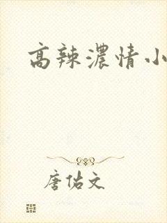 高辣浓情小说封面