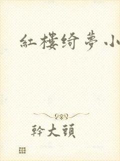 红楼绮梦小说封面