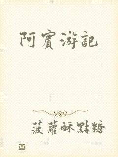 阿宾游记