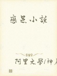 恋足小说