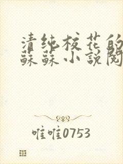 清纯校花的日常苏苏小说阅读全文封面