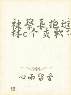 被学长抱进小树林c个爽软件