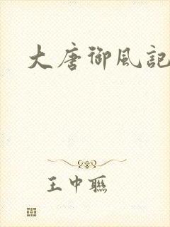 大唐御风记封面