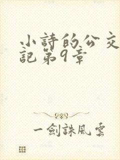小诗的公交车日记第9章封面