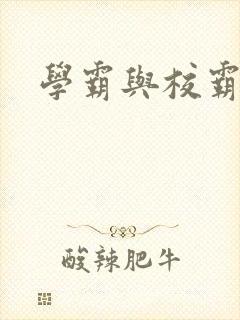 学霸与校霸