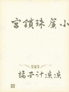 宫锁珠帘小说