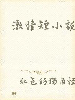 激情短小说