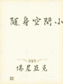 随身空间小说