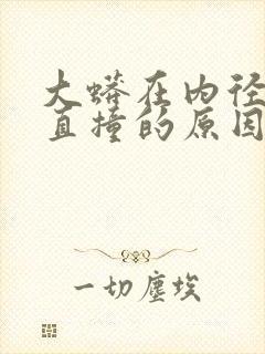 大蟒在内径横冲直撞的原因封面
