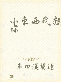 小东西我想弄坏你
