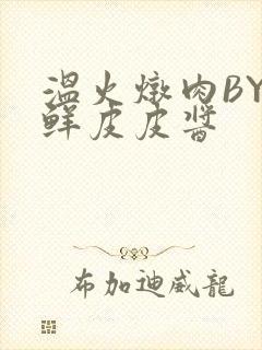 温火炖肉BY海鲜皮皮酱
