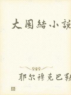 大团结小说阅读