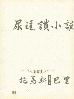 尿道锁小说封面