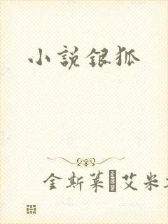 小说银狐