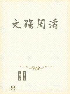 文强周涛封面