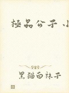 极品公子 小说