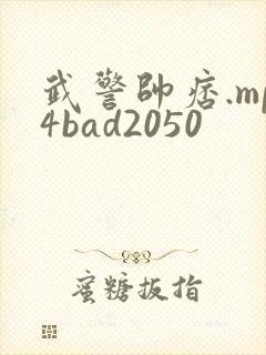 武警帅痞.mp4bad2050