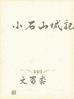 小石山城记
