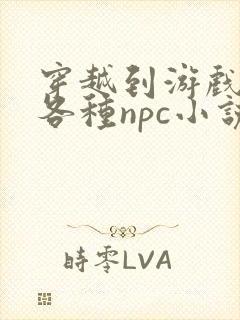 穿越到游戏里和各种npc小说封面