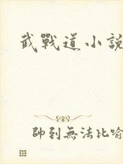 武战道小说