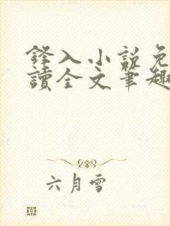 锋入小说免费阅读全文笔趣阁
