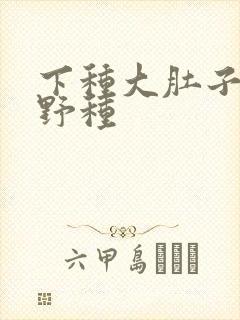 下种大肚子怀孕野种