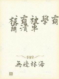 校霸被学霸玩到崩溃车封面