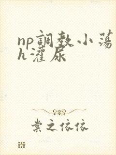 np调教小荡货h灌尿封面