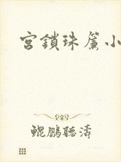 宫锁珠帘小说