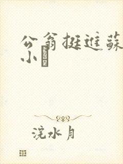 公翁挺进苏玥的小泬