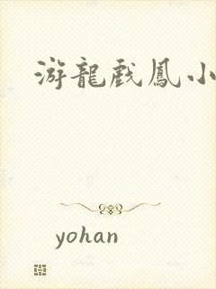 游龙戏凤小说