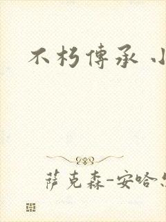 不朽传承 小说