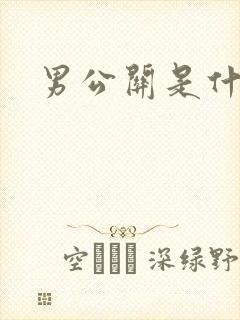 男公关是什么封面