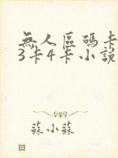 无人区码卡二卡3卡4卡小说