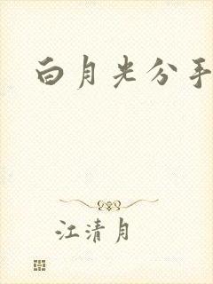 白月光分手日常