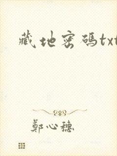 藏地密码txt封面