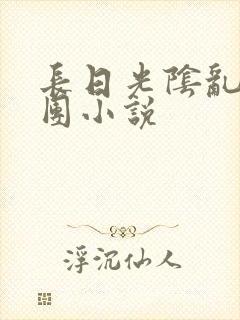 长日光阴乱作一团小说封面